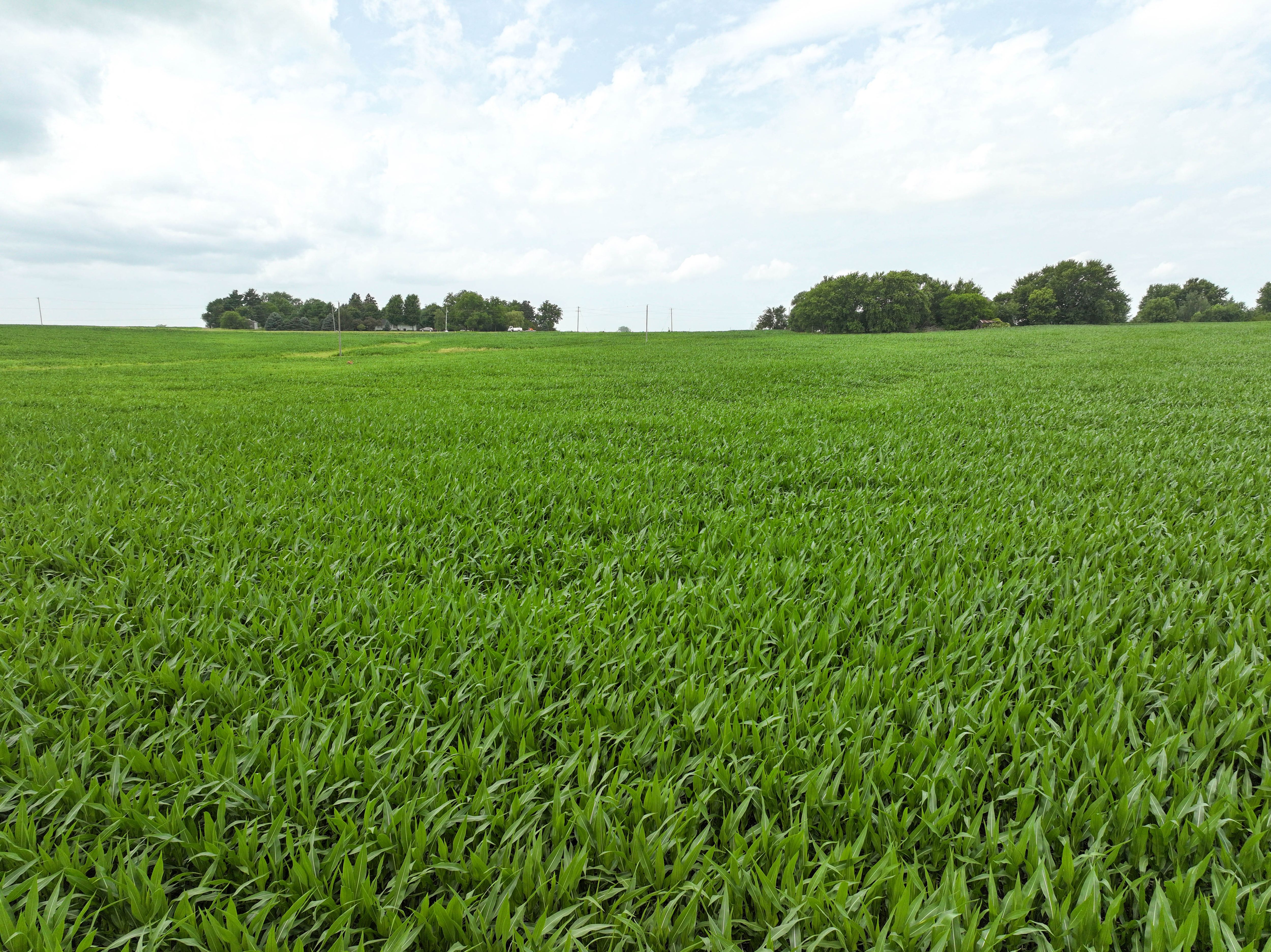 Listing Photo: 14 - Buchanan County Land Auction